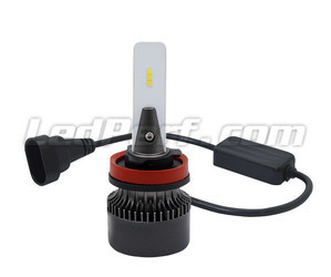 Ampoules H11 LED Eco Line branchement plug and play et Canbus anti-erreur