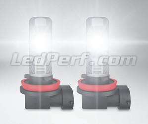 Ampoules LED H8 Osram LEDriving Standard pour antibrouillards en fonctionnement