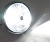 Ampoule HB3 LED Moto Ajustable - Eclairage Blanc Pur