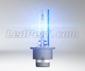 D4S Xenon lampverlichting Osram Xenarc Cool Blue Intense NEXT GEN 6200K - 66440CBN LED Extra Wit LOOK