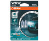 Paar Osram W5W Cool blue Intense Next Gen LED Effect 4000K-lampen