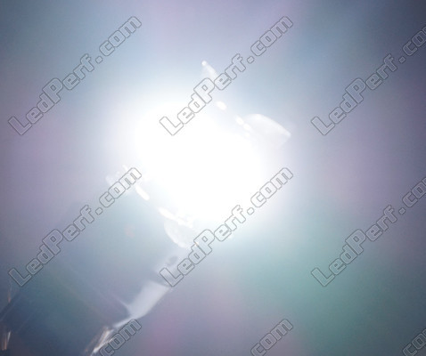 W21/5W LED Serie Ghost in wit licht