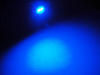 LED T5 Efficacity W1,2W met 2 blauw leds