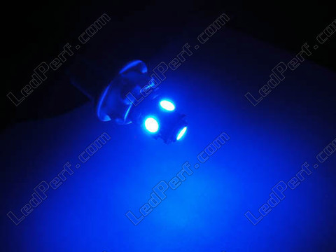 ledlamp T10 W5W Xtrem blauw