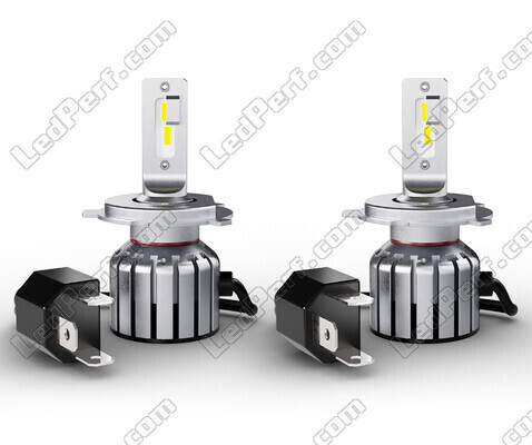 Paar H19 LED-lampen Osram LEDriving HL Bright - 64193DWBRT-2HFB