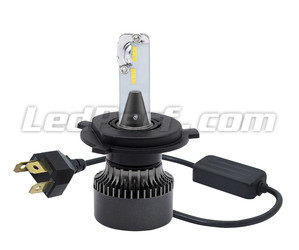 H4 LED Eco Line-lampen plug-and-play-verbinding en Canbus anti-fout