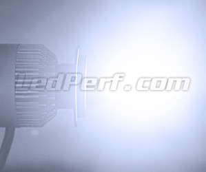 LED COB H9 lamp Motor