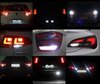 Led Feux De Recul Ford Tourneo Connect Tuning
