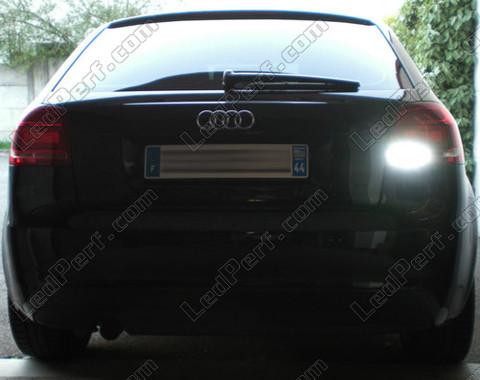 Ledlamp voor Achteruitrijlichten Audi A3 8P Coupé