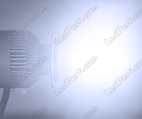 Set LED COB All in One CFMOTO Terralander 625 (2010 - 2014)