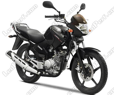 Motor Yamaha YBR 125 (2014 - 2019) (2014 - 2019)