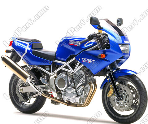 Motor Yamaha TRX 850 (1996 - 2000)