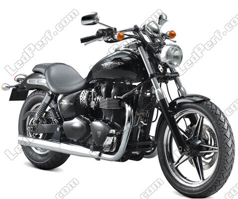 Moto Triumph Speedmaster 865 (2002 - 2015)