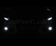 Pack ampoules antibrouillards Xenon effect pour Audi Q3
