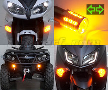 Set LED-knipperlichten voorzijde van de Harley-Davidson Custom 1200 (2000 - 2010)