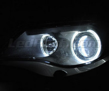 Pack angel eyes à leds pour BMW Serie 6 (E63 E64) Phase 1 - Avec Xenon d'origine -MTEC V3