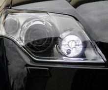 Pack feux de jour à led (blanc xenon) pour Renault Laguna 3