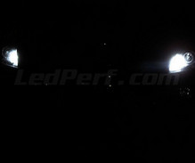 Set positielichten en dagrijlichten met led wit Xenon voor Peugeot 3008 (originele Xenon)