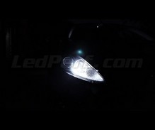 Set stadslichten met leds (wit Xenon) voor Ford Fiesta MK7