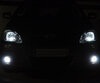 Set lampen voor de koplampen met Xenon-effect voor Toyota Corolla E120