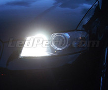 Set dagrijlichten (wit Xenon) voor Audi A6 C6