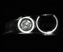 Pack angel eyes H8 à leds (blanc pur 6000K) pour BMW X5 (E70) - Standard