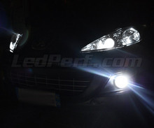 Set lampen voor de koplampen met Xenon-effect voor Peugeot 207