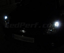 Set stadslichten met leds (wit Xenon) voor Ford Fiesta MK6