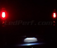 Pack éclairage de plaque à leds (blanc xenon) pour Renault Trafic 2