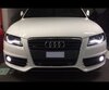 Pack ampoules antibrouillards Xenon effect pour Audi A4 B8