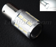 P21/5W lamp Magnifier met 21 leds SG hoog vermogen + wit loep Fitting BAY15D