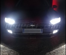 Set lampen voor de koplampen met Xenon-effect voor Volkswagen Passat B8