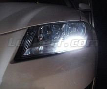 Set Set dagrijlichten met leds (wit Xenon) Audi A3 8P Facelift (vernieuwd)