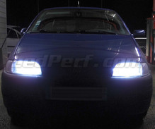 Set lampen voor de koplampen met Xenon-effect voor Fiat Punto MK1