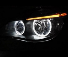 Set angel eyes met leds voor BMW Serie 5 (E60 - E61) fase 2 (LCI) - Zonder oorspronkelijk Xenon