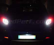 Pack leds (blanc 6000K) feux de recul pour Dacia Sandero 2