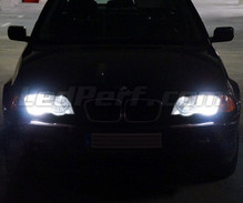 Set lampen voor de koplampen met Xenon-effect voor BMW Serie 3 (E46)