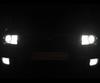 Set lampen voor de koplampen met Xenon-effect voor Skoda Superb 3T