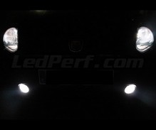 Set lampen voor de koplampen met Xenon-effect voor Fiat Grande Punto / Punto Evo