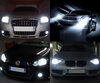 Set lampen voor de koplampen met Xenon-effect voor Audi A6 C6