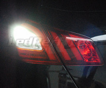 Ledset (wit 6000K) voor de achteruitrijlampen voor Peugeot 308 II