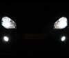 Set lampen voor de koplampen met Xenon-effect voor Volkswagen Golf 5