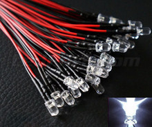 10 LEDs met kabel Wit 12V