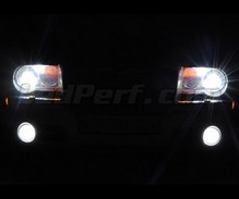 Set lampen voor de koplampen met Xenon-effect voor Chrysler 300C
